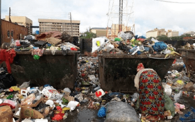Cholera outbreak in Zimbabwe and Zambia